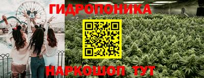 метадон Гусев