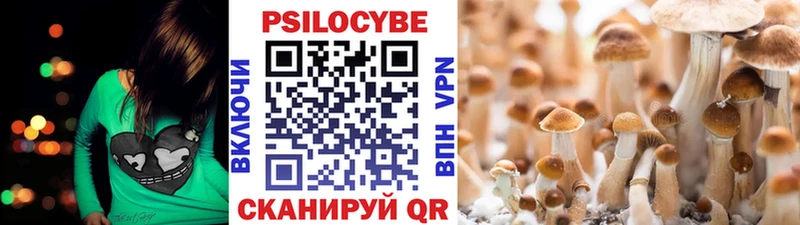 Галлюциногенные грибы мухоморы  продажа наркотиков  Отрадное 