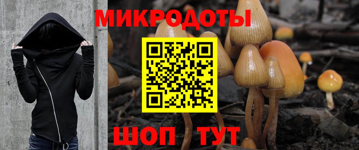 Отрадное  Галлюциногенные грибы Magic Shrooms  Вход с VPN 