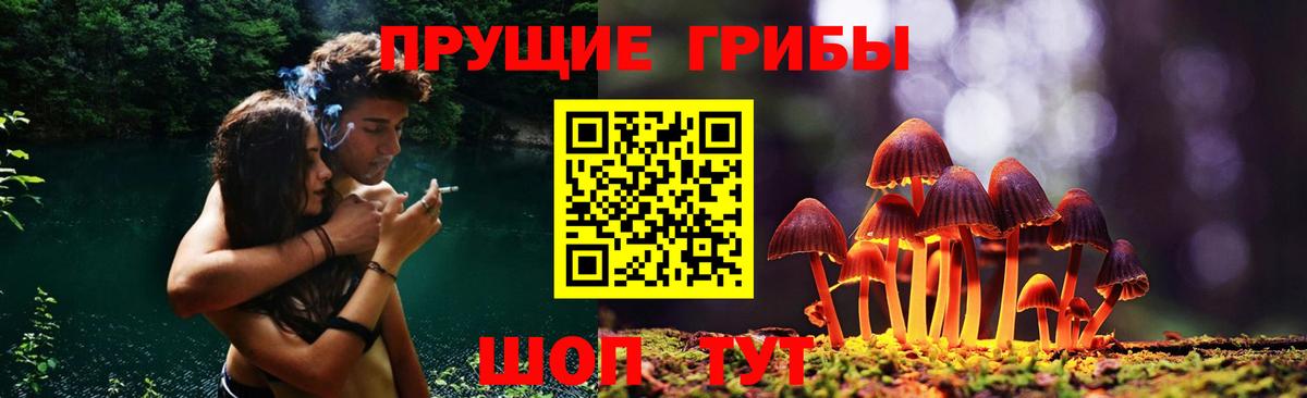 Галлюциногенные грибы Psilocybine cubensis Отрадное