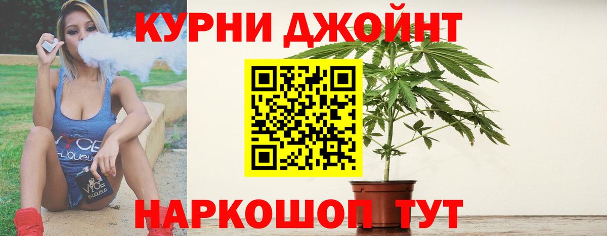 Шишки марихуана план  Марихуана индика  Вход с VPN  Отрадное  Шишки марихуана марихуана 
